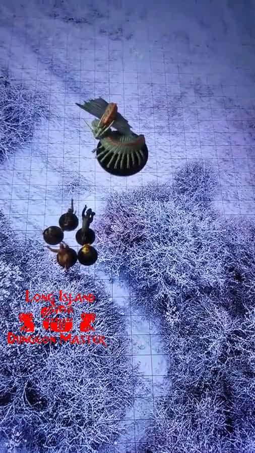 Long Island Dungeon Master animated table footage