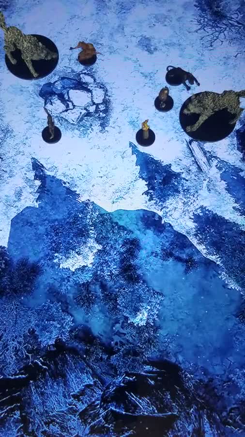 Long Island Dungeon Master animated table footage